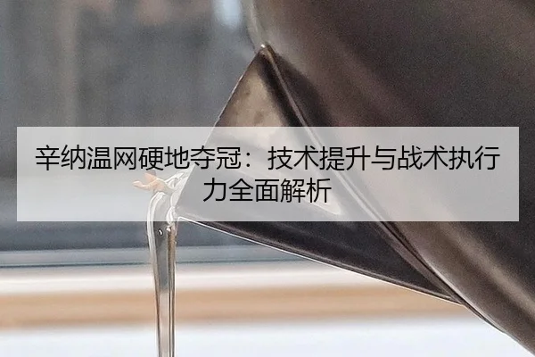 xin-na-wen-wang-ying-di-duo-guan-ji-shu-ti-sheng-yu-zhan-shu-zhi-xing-li-quan-mian-jie-xi-3-159.jpg