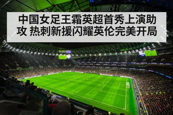 Tottenham Hotspur stadium